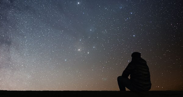 Птицы в Вечернем небе