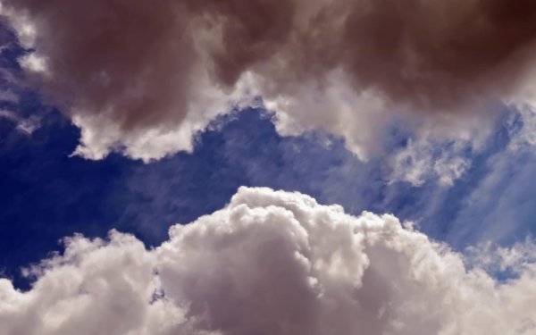 Облака в полдень