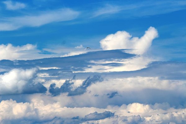 Молитва руки к небу