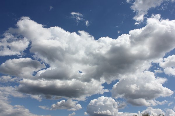 Душа ребенка