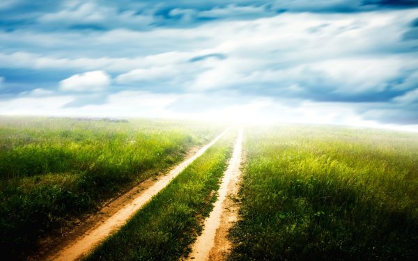 Светлая дорога