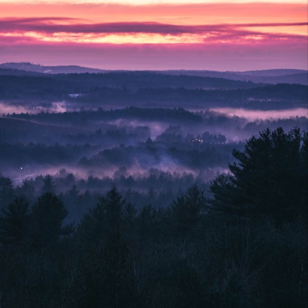 Природа фиолетовая Эстетика