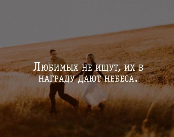 Любимых не ищут их в награду дают небеса цитаты