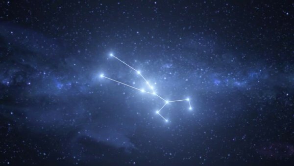 Созвездие Телец Таурус