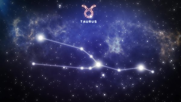 Созвездие тельца на небе