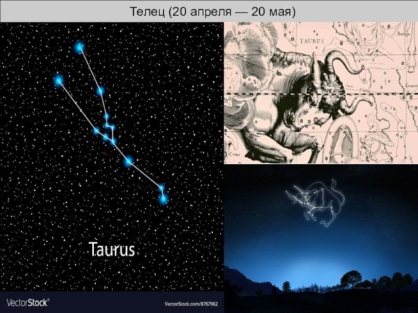 Созвездие тельца