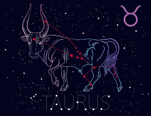 Таурус бык Телец Созвездие
