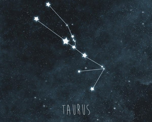 Таурус Созвездие