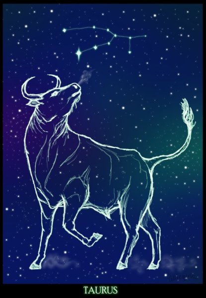 Taurus Телец