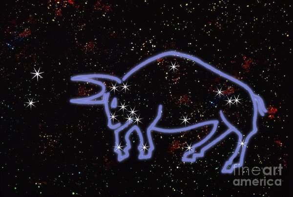 Зодиакальные созвездия для детей Телец