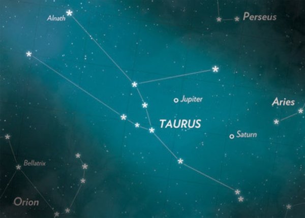 Звездное Созвездие тельца