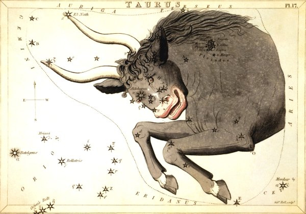 Альдебаран Созвездие тельца рисунок