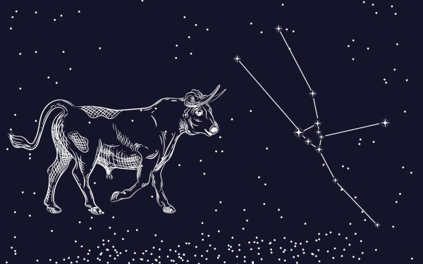 Телец Созвездие гравюра