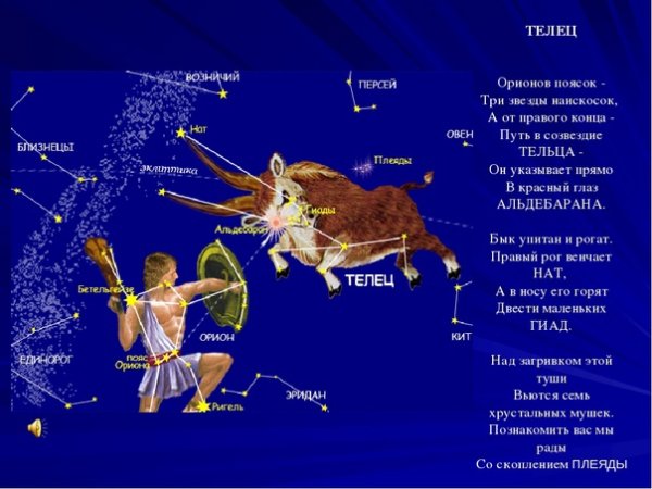 Зодиакальное Созвездие Телец