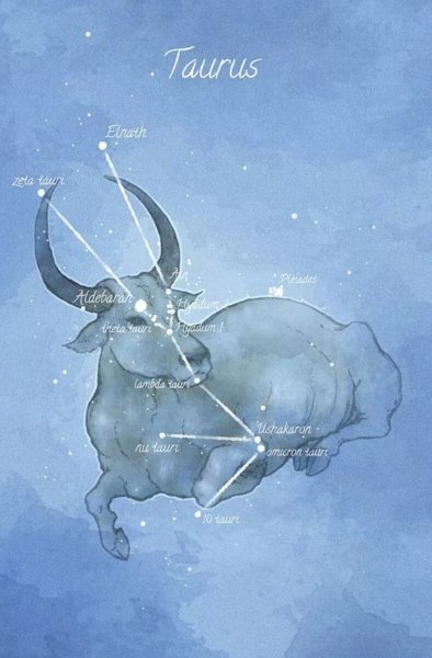 Созвездие Taurus - Телец
