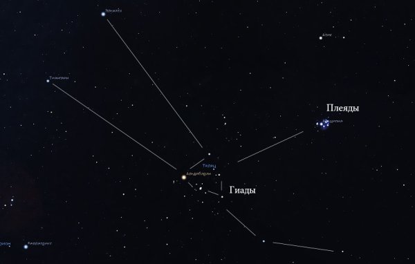 Созвездие Телец Плеяды и Гиады