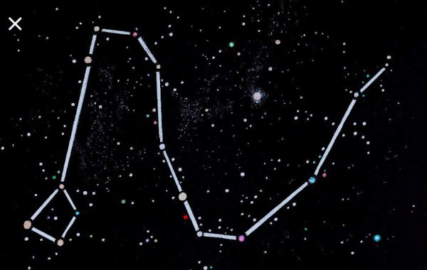 Дракон Draco Созвездие