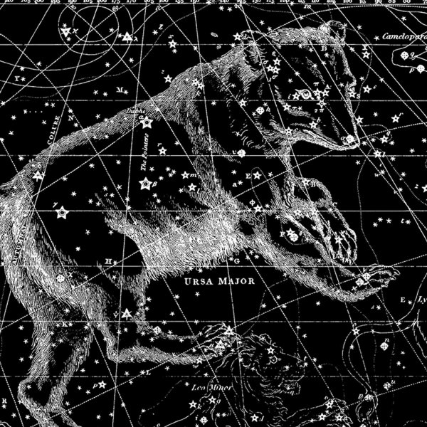 Созвездие дракона картины