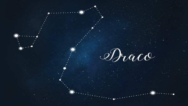 Околополярное Созвездие дракон