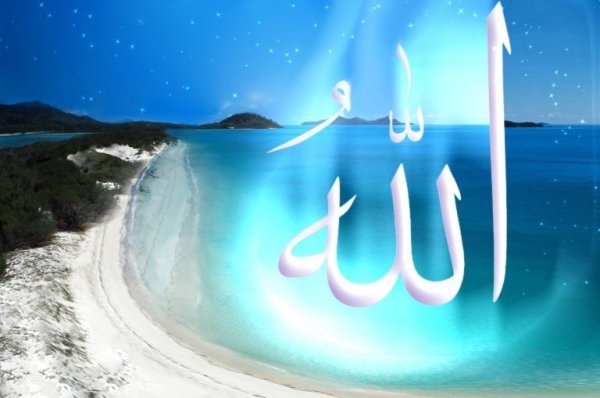 Самый красивый нашид