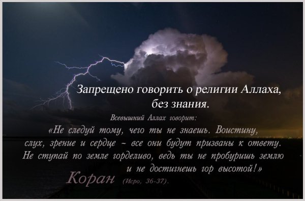 Цитаты про Всевышнего Аллаха