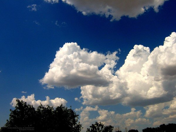 Облако для текста