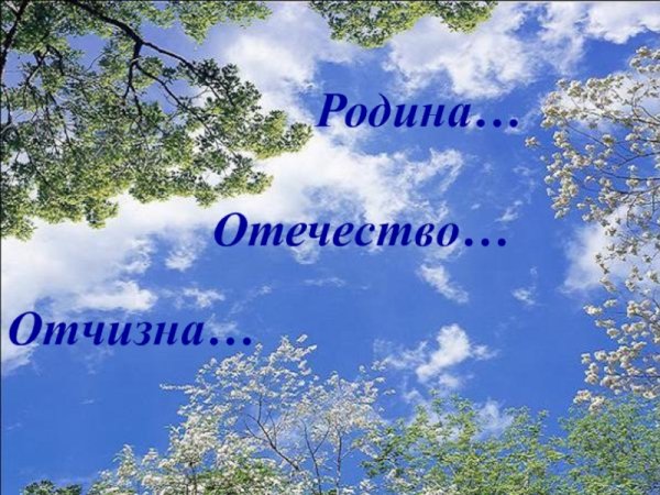 Одуванчик на солнце