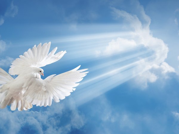 Душа улетает