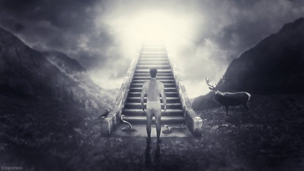 Обои лестница в небо