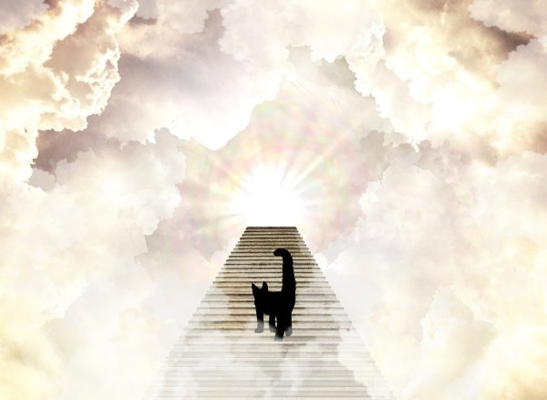 Лестница фэнтези