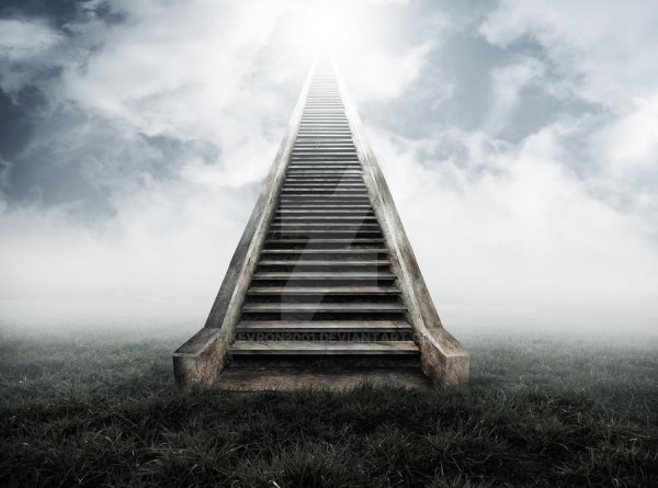 Человек на лестнице