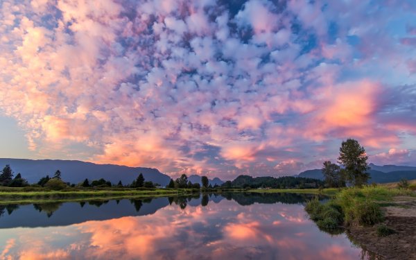 Отражение облаков в луже