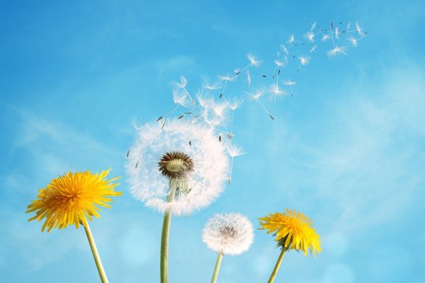 Летний фон для детей