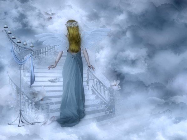 Человек на лестнице в небо