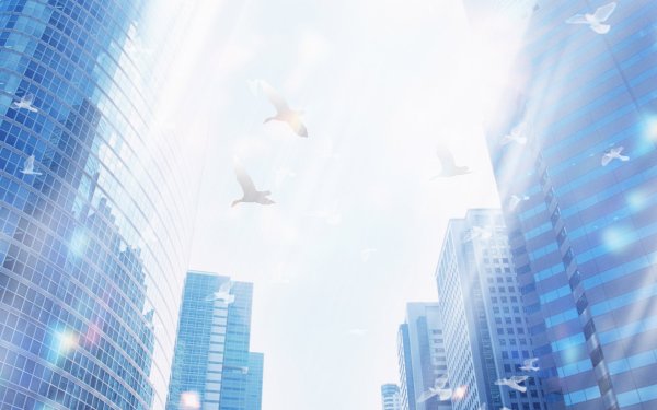 Дорога в светлое будущее