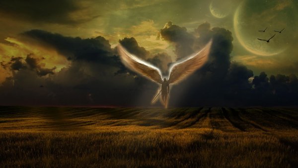 Ангел в ночном небе