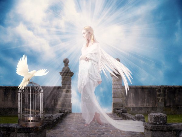 Невидимый ангел