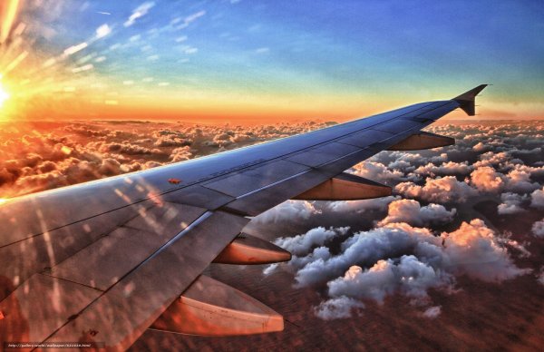 Крыло самолета