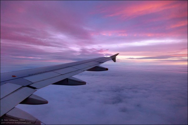 Крыло самолета