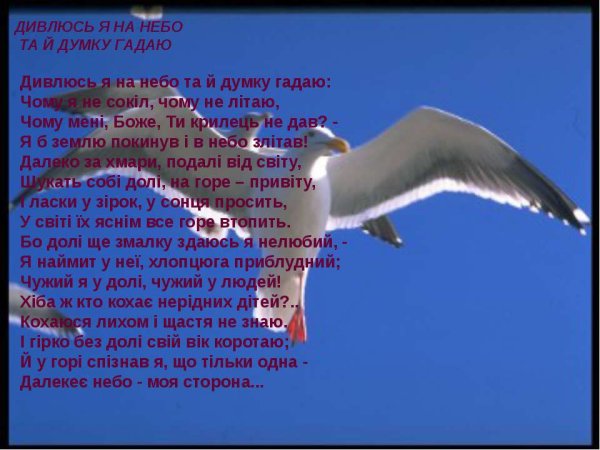 Дивлюсь я на небо и думку гадаю