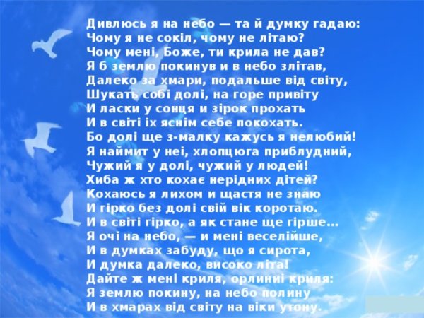 Сокол в небе