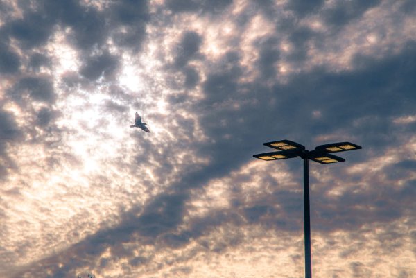 Песня дивлюсь я на небо