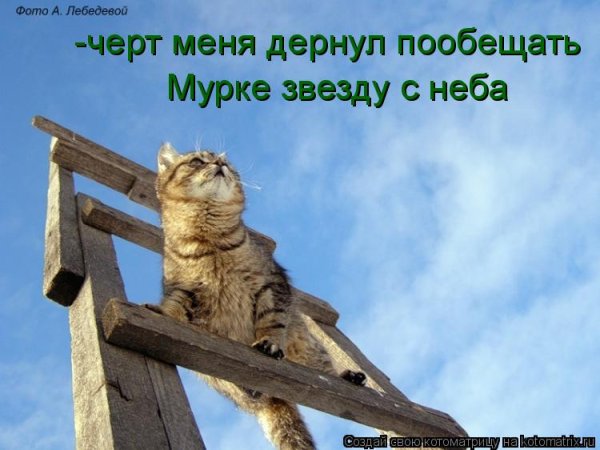 Падающая звезда желание