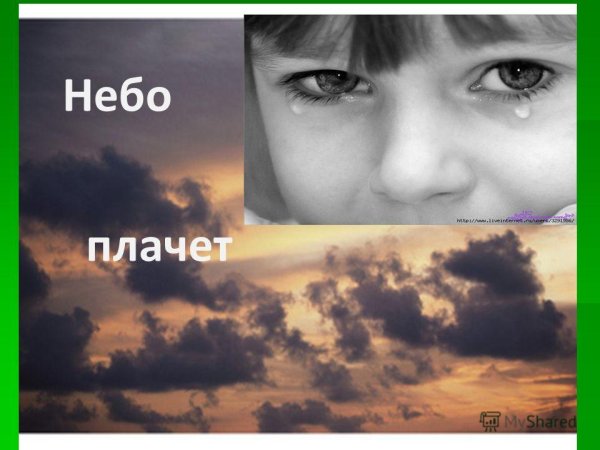 А небо кричит Светлана Малова