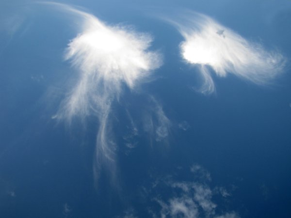 Кричит в небо