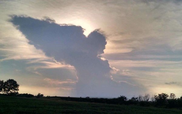 А небо кричит кричит