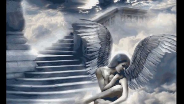 Ангелы летают