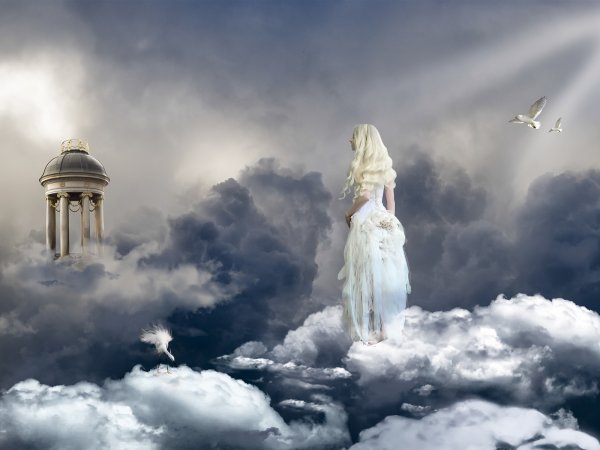 Лестница в рай