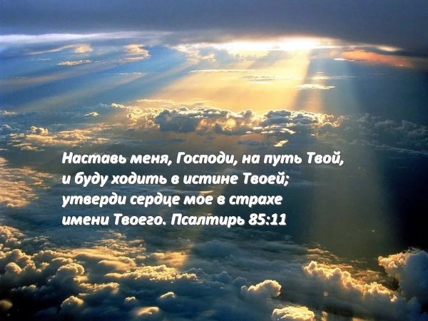 Мы встретимся на небесах