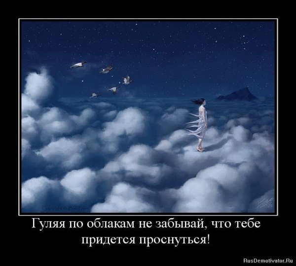 Самолет в небе